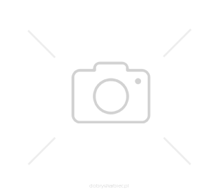 Large_no_image