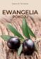EWANGELIA POKOJU. Poselstwo krzyża - James B. Richards