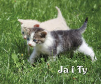 Ja i Ty. Perełka 137