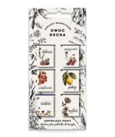 Zakładki magnetyczne - Owoc Ducha (6 sztuk)